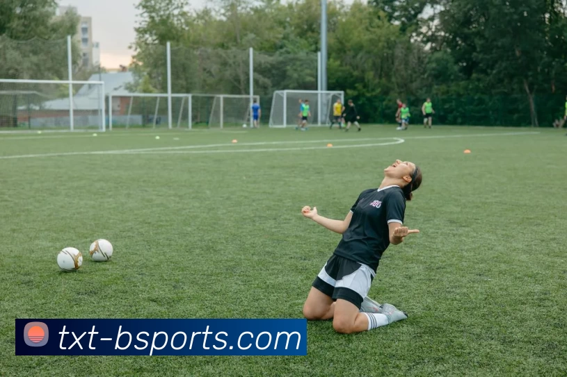 B体育平台生态图